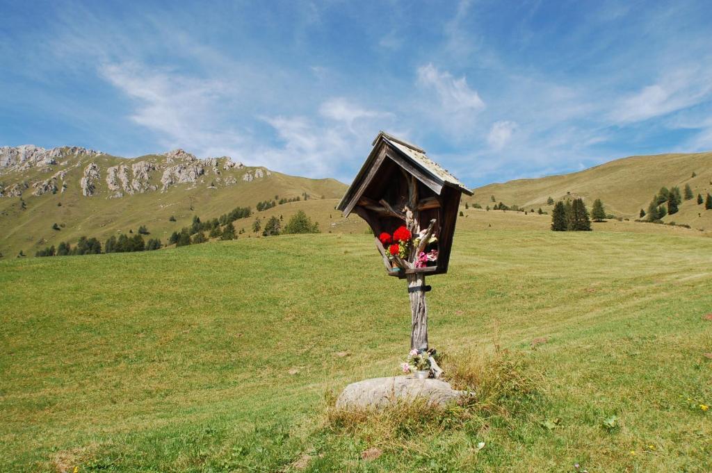 פרדאצו Cimon Dolomites Hotel מראה חיצוני תמונה