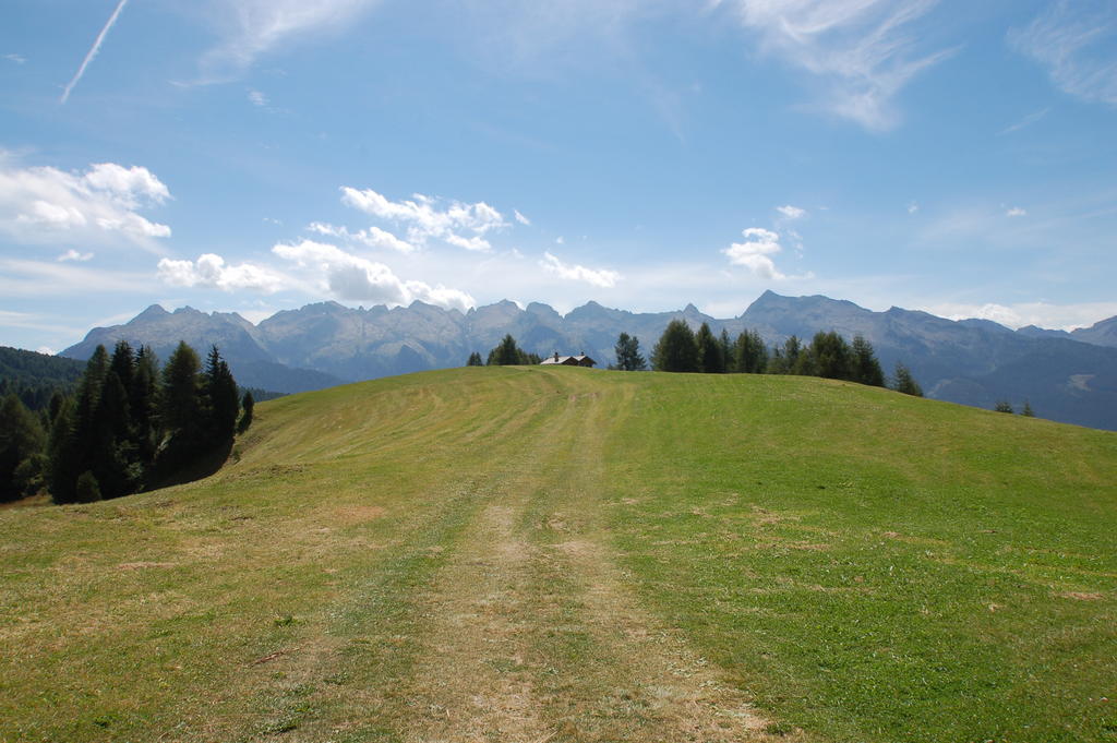 פרדאצו Cimon Dolomites Hotel מראה חיצוני תמונה