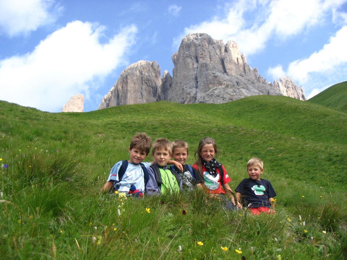 פרדאצו Cimon Dolomites Hotel מראה חיצוני תמונה