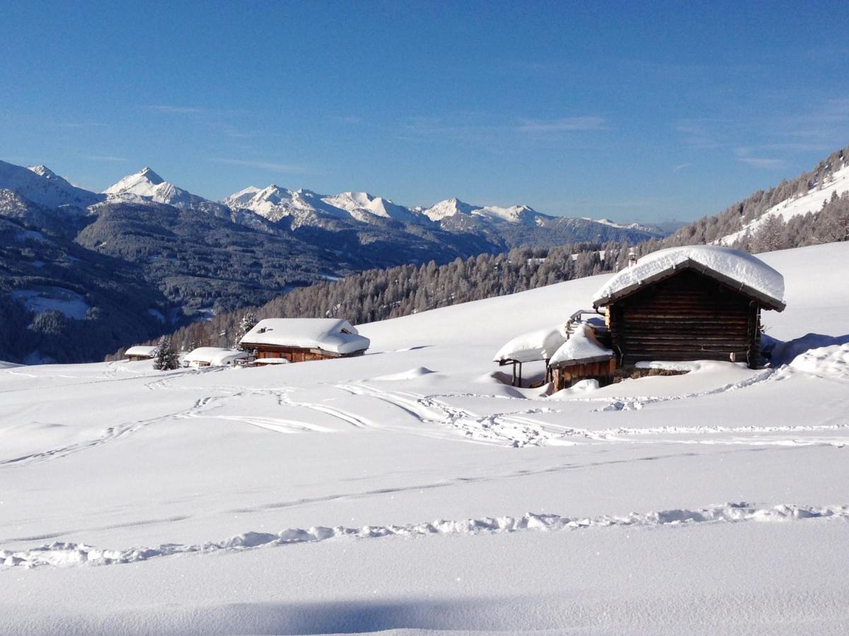 פרדאצו Cimon Dolomites Hotel מראה חיצוני תמונה