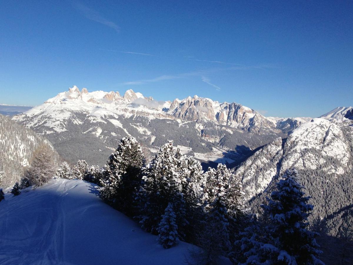 פרדאצו Cimon Dolomites Hotel מראה חיצוני תמונה